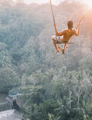 5 Berufe, mit denen du im Dschungelcamp Spaß haben kannst
