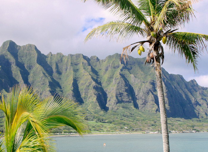 Berge, Palmen und Meer auf Hawaii.