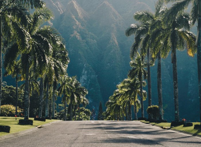 Straße auf Hawaii.